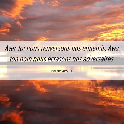 Picture 06 - Psaumes 44:5 LSG - Avec toi nous renversons nos ennemis, Avec ton - Bible Verse Picture