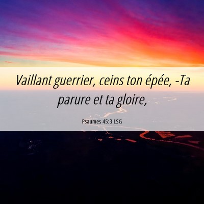 Picture 06 - Psaumes 45:3 LSG - Vaillant guerrier, ceins ton épée, -Ta parure - Bible Verse Picture