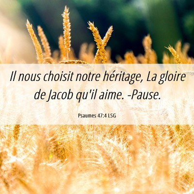Picture 06 - Psaumes 47:4 LSG - Il nous choisit notre héritage, La gloire de - Bible Verse Picture