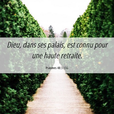 Picture 06 - Psaumes 48:3 LSG - Dieu, dans ses palais, est connu pour une haute - Bible Verse Picture