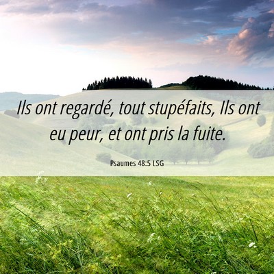 Picture 06 - Psaumes 48:5 LSG - Ils ont regardé, tout stupéfaits, Ils ont eu - Bible Verse Picture