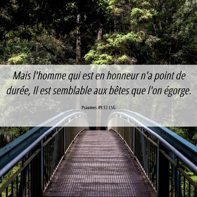 Picture 06 - Psaumes 49:12 LSG - Mais l'homme qui est en honneur n'a point de - Bible Verse Picture