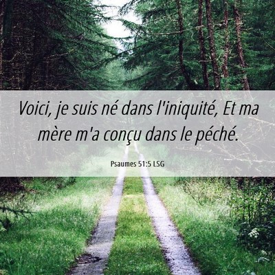 Picture 06 - Psaumes 51:5 LSG - Voici, je suis né dans l'iniquité, Et ma mère - Bible Verse Picture