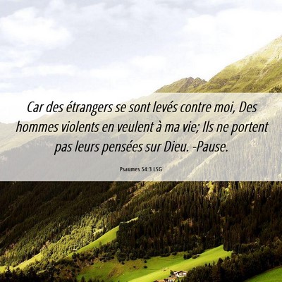 Picture 06 - Psaumes 54:3 LSG - Car des étrangers se sont levés contre moi, Des - Bible Verse Picture