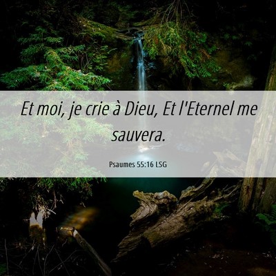 Picture 06 - Psaumes 55:16 LSG - Et moi, je crie à Dieu, Et l'Eternel me - Bible Verse Picture