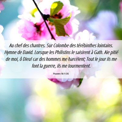 Picture 06 - Psaumes 56:1 LSG - Au chef des chantres. Sur Colombe des - Bible Verse Picture