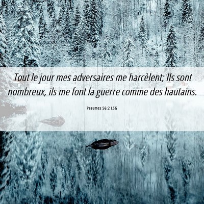 Picture 06 - Psaumes 56:2 LSG - Tout le jour mes adversaires me harcèlent; Ils - Bible Verse Picture