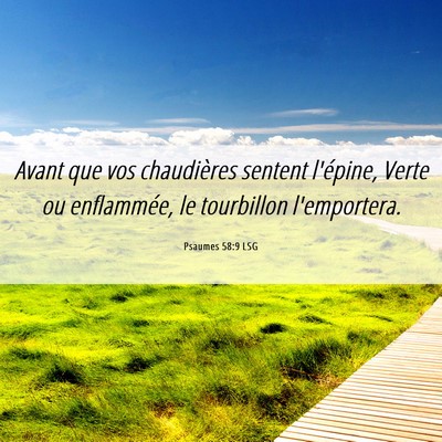 Picture 06 - Psaumes 58:9 LSG - Avant que vos chaudières sentent l'épine, Verte - Bible Verse Picture