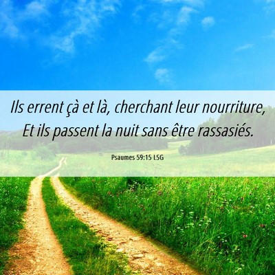 Picture 06 - Psaumes 59:15 LSG - Ils errent çà et là, cherchant leur - Bible Verse Picture