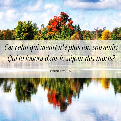 Picture 06 - Psaumes 6:5 LSG - Car celui qui meurt n'a plus ton souvenir; Qui te - Bible Verse Picture