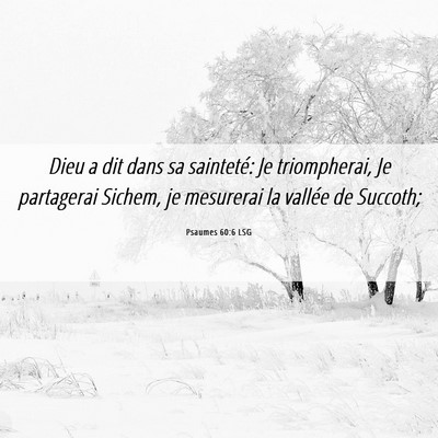 Picture 06 - Psaumes 60:6 LSG - Dieu a dit dans sa sainteté: Je triompherai, Je - Bible Verse Picture