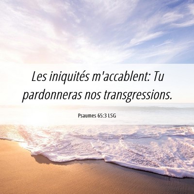 Picture 06 - Psaumes 65:3 LSG - Les iniquités m'accablent: Tu pardonneras nos - Bible Verse Picture