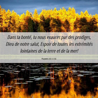 Picture 06 - Psaumes 65:5 LSG - Dans ta bonté, tu nous exauces par des prodiges, - Bible Verse Picture