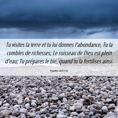 Picture 06 - Psaumes 65:9 LSG - Tu visites la terre et tu lui donnes l'abondance, - Bible Verse Picture