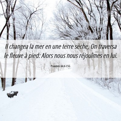 Picture 06 - Psaumes 66:6 LSG - Il changea la mer en une terre sèche, On - Bible Verse Picture
