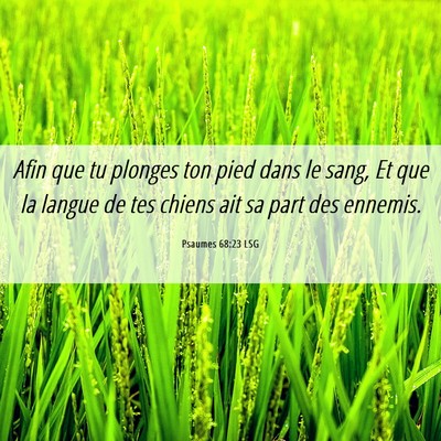 Picture 06 - Psaumes 68:23 LSG - Afin que tu plonges ton pied dans le sang, Et que - Bible Verse Picture