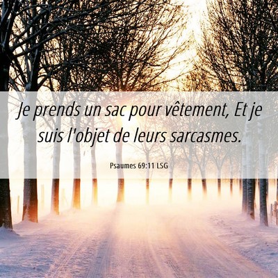 Picture 06 - Psaumes 69:11 LSG - Je prends un sac pour vêtement, Et je suis - Bible Verse Picture