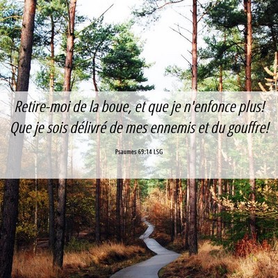 Picture 06 - Psaumes 69:14 LSG - Retire-moi de la boue, et que je n'enfonce plus! - Bible Verse Picture