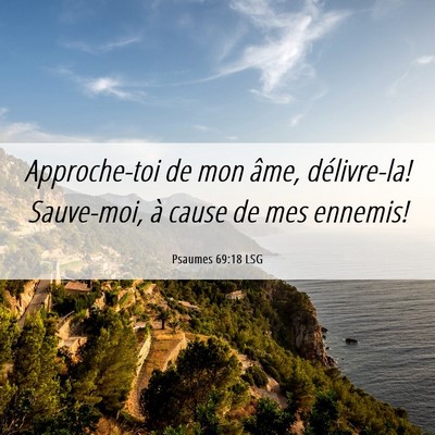 Picture 06 - Psaumes 69:18 LSG - Approche-toi de mon âme, délivre-la! Sauve-moi, - Bible Verse Picture