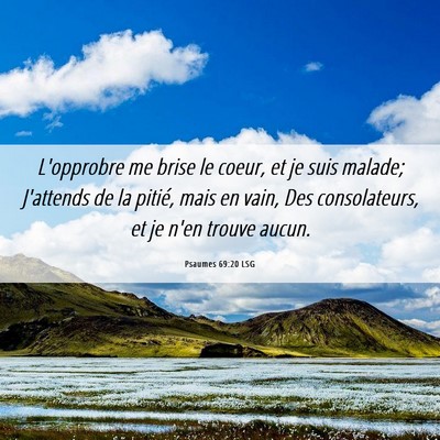 Picture 06 - Psaumes 69:20 LSG - L'opprobre me brise le coeur, et je suis malade; - Bible Verse Picture