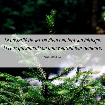 Picture 06 - Psaumes 69:36 LSG - La postérité de ses serviteurs en fera son - Bible Verse Picture