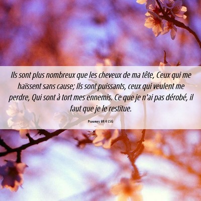 Picture 06 - Psaumes 69:4 LSG - Ils sont plus nombreux que les cheveux de ma - Bible Verse Picture