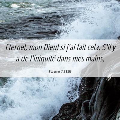 Picture 06 - Psaumes 7:3 LSG - Eternel, mon Dieu! si j'ai fait cela, S'il y a de - Bible Verse Picture