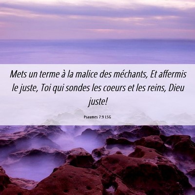 Picture 06 - Psaumes 7:9 LSG - Mets un terme à la malice des méchants, Et - Bible Verse Picture