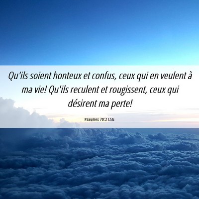Picture 06 - Psaumes 70:2 LSG - Qu'ils soient honteux et confus, ceux qui en - Bible Verse Picture