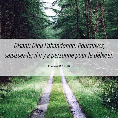 Picture 06 - Psaumes 71:11 LSG - Disant: Dieu l'abandonne; Poursuivez, - Bible Verse Picture