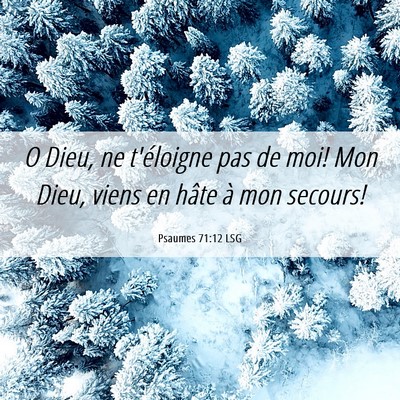 Picture 06 - Psaumes 71:12 LSG - O Dieu, ne t'éloigne pas de moi! Mon Dieu, viens - Bible Verse Picture