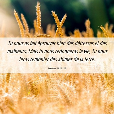 Picture 06 - Psaumes 71:20 LSG - Tu nous as fait éprouver bien des détresses et - Bible Verse Picture