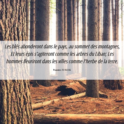 Picture 06 - Psaumes 72:16 LSG - Les blés abonderont dans le pays, au sommet des - Bible Verse Picture