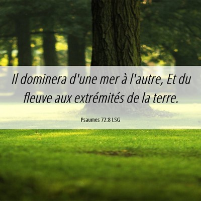Picture 06 - Psaumes 72:8 LSG - Il dominera d'une mer à l'autre, Et du fleuve - Bible Verse Picture