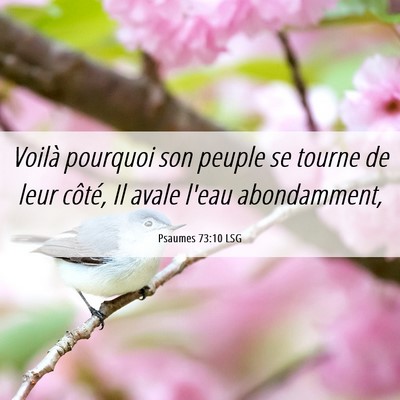 Picture 06 - Psaumes 73:10 LSG - Voilà pourquoi son peuple se tourne de leur - Bible Verse Picture