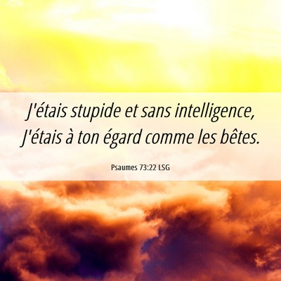 Picture 06 - Psaumes 73:22 LSG - J'étais stupide et sans intelligence, J'étais - Bible Verse Picture