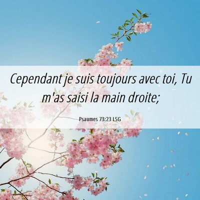 Picture 06 - Psaumes 73:23 LSG - Cependant je suis toujours avec toi, Tu m'as - Bible Verse Picture