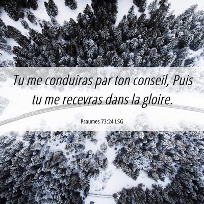 Picture 06 - Psaumes 73:24 LSG - Tu me conduiras par ton conseil, Puis tu me - Bible Verse Picture