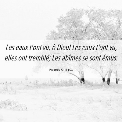 Picture 06 - Psaumes 77:16 LSG - Les eaux t'ont vu, ô Dieu! Les eaux t'ont vu, - Bible Verse Picture