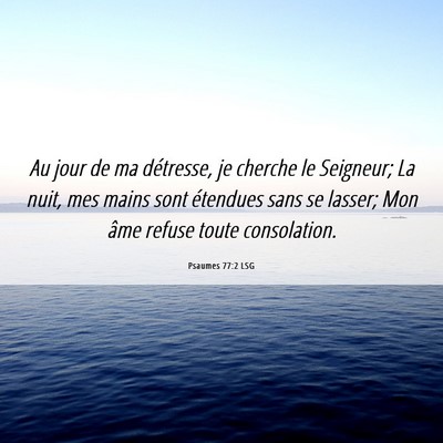 Picture 06 - Psaumes 77:2 LSG - Au jour de ma détresse, je cherche le Seigneur; - Bible Verse Picture