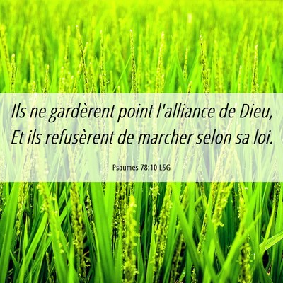 Picture 06 - Psaumes 78:10 LSG - Ils ne gardèrent point l'alliance de Dieu, Et - Bible Verse Picture