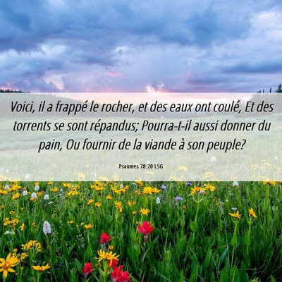 Picture 06 - Psaumes 78:20 LSG - Voici, il a frappé le rocher, et des eaux ont - Bible Verse Picture