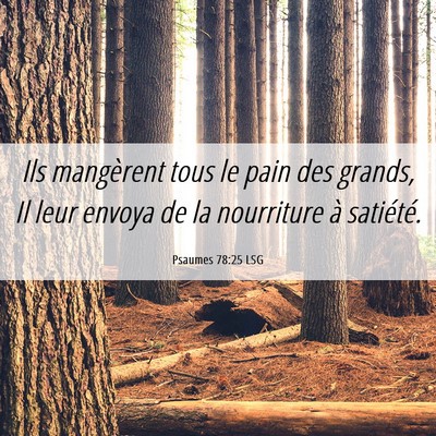 Picture 06 - Psaumes 78:25 LSG - Ils mangèrent tous le pain des grands, Il leur - Bible Verse Picture