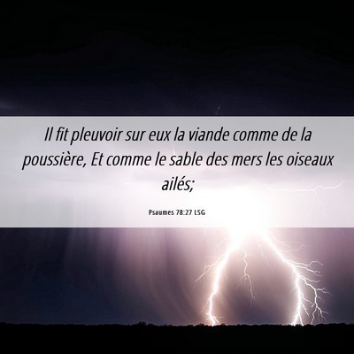Picture 06 - Psaumes 78:27 LSG - Il fit pleuvoir sur eux la viande comme de la - Bible Verse Picture