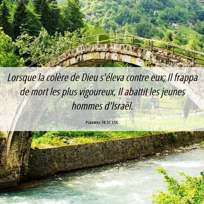 Picture 06 - Psaumes 78:31 LSG - Lorsque la colère de Dieu s'éleva contre eux; - Bible Verse Picture