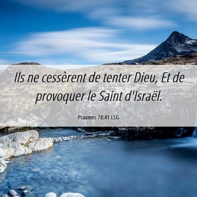 Picture 06 - Psaumes 78:41 LSG - Ils ne cessèrent de tenter Dieu, Et de provoquer - Bible Verse Picture