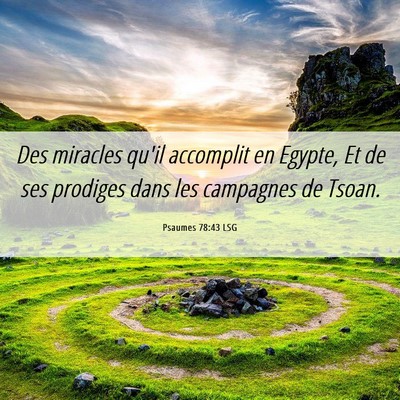 Picture 06 - Psaumes 78:43 LSG - Des miracles qu'il accomplit en Egypte, Et de ses - Bible Verse Picture