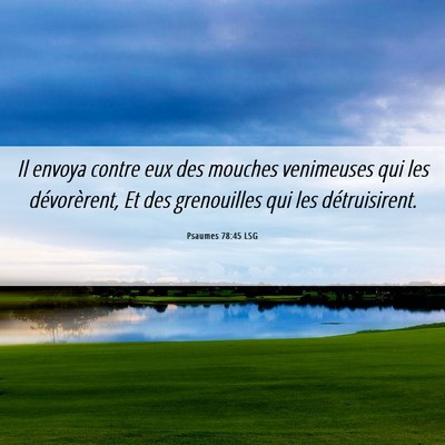 Picture 06 - Psaumes 78:45 LSG - Il envoya contre eux des mouches venimeuses qui - Bible Verse Picture