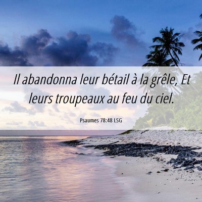 Picture 06 - Psaumes 78:48 LSG - Il abandonna leur bétail à la grêle, Et leurs - Bible Verse Picture