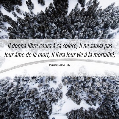 Picture 06 - Psaumes 78:50 LSG - Il donna libre cours à sa colère, Il ne sauva - Bible Verse Picture
